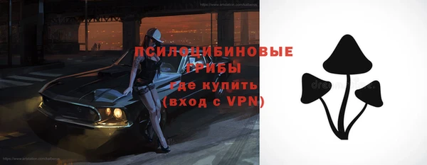 меф Горнозаводск