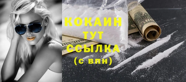 тгк Горняк