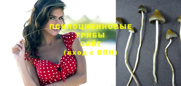 тгк Горняк