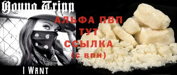 тгк Горняк