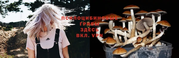 MESCALINE Горно-Алтайск